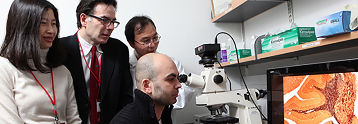 Physicians Looking At Microscope